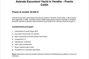 BUSINESS IN TENERIFE