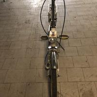 Graziella Carnielli anno 1977