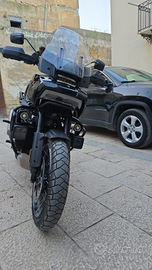 PanAmerica special 1250