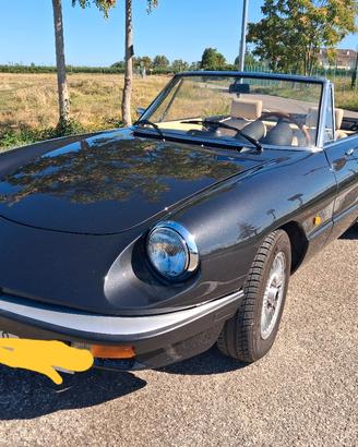 Alfa Spider 1600