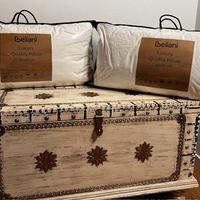 Coppia di cuscini in piume e piumino 80x80 cm