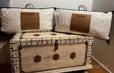 Coppia di cuscini in piume e piumino 80x80 cm