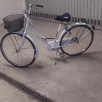 bici Olandesina robert