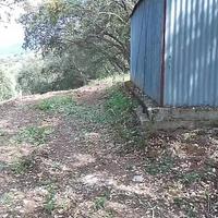 Terreno seminativo e uliveto