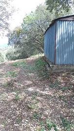 Terreno seminativo e uliveto