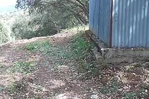 Terreno seminativo e uliveto