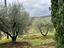 Immagine 10