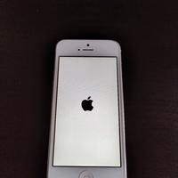 Iphone 5 bianco