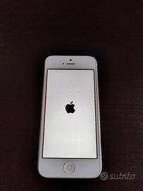 Iphone 5 bianco