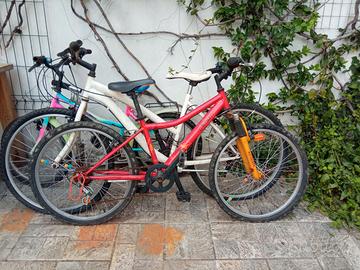 Bici usate