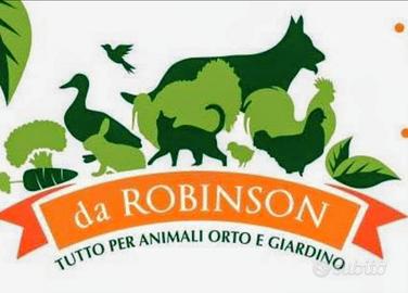Ritiro uccellini