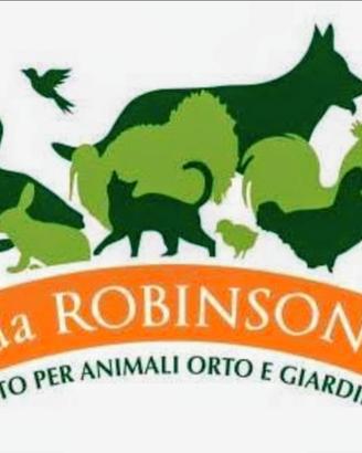 Ritiro uccellini