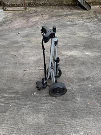 Carrello golf