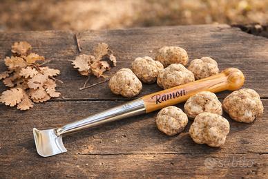 Vanghetto a Bandiera Conforme Norme Toscana