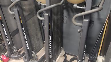 Walking professionali  della walker