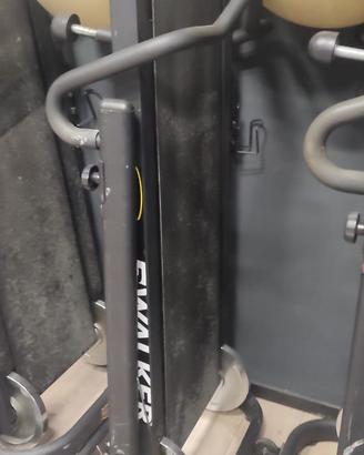 Walking professionali  della walker