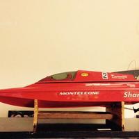 Motoscafo radiocomandato Monteleone Shark