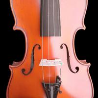 Violino di Alta Liuteria "Mario Gadda" (originale)