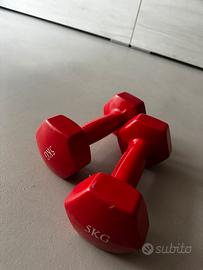 Coppia Manubri 5kg