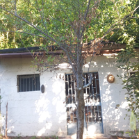 Terreno con rudere e deposito