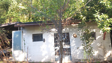 Terreno con rudere e deposito