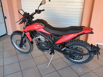 BETA ALP 4.0