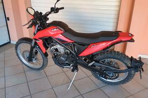 BETA ALP 4.0