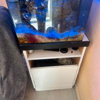 Acquario cubo
