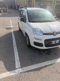 Fiato panda benzina