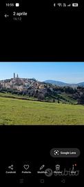 1 ettaro terreno coltivabile