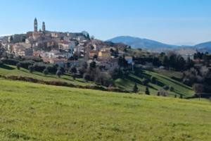 1 ettaro terreno coltivabile