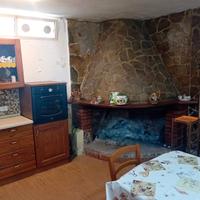 Terreno con fabbricato e frutteto