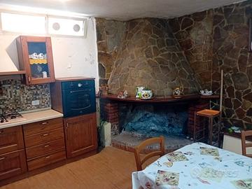 Terreno con fabbricato e frutteto