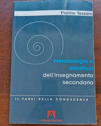 Teoria insegnamento