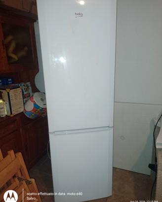 frigo Beko grande 