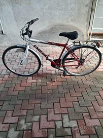 City Bike Uomo ruota 28"