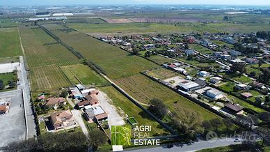 Aprilia (LT) - Terreno 9,5 ha. con vigneto | TR397