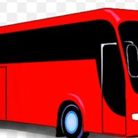 AUTISTA Patente C/D/E cqc Tachigrafa