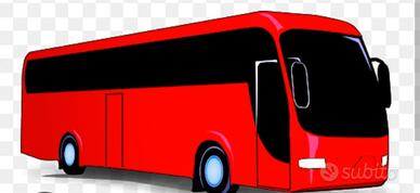 AUTISTA Patente C/D/E cqc Tachigrafa