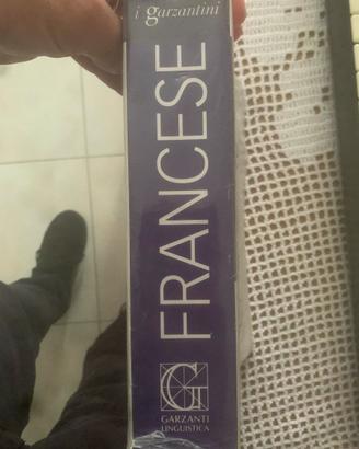 Dizionario Francese (i garzantini)
