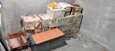 Piastrelle gres fine porcellanato 