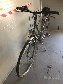 Bicicletta Alpina