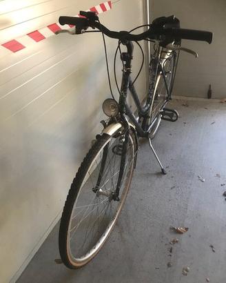 Bicicletta Alpina