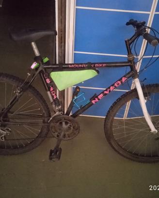 Mountain bike nevada 