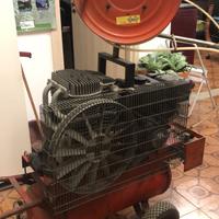 Compressore e aste per potatura professionale