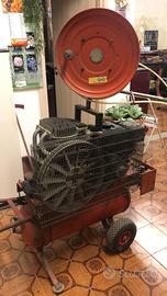 Compressore e aste per potatura professionale