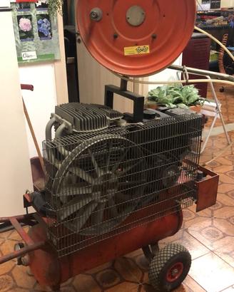 Compressore e aste per potatura professionale