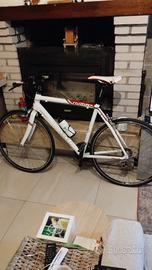 willer triestina asolo 56tg