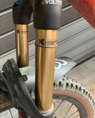 Specialized Turbo Levo PRO