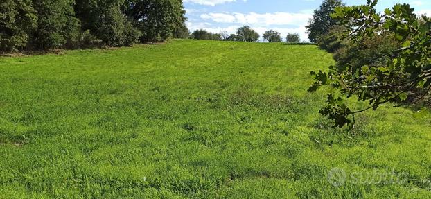 Terreno agricolo